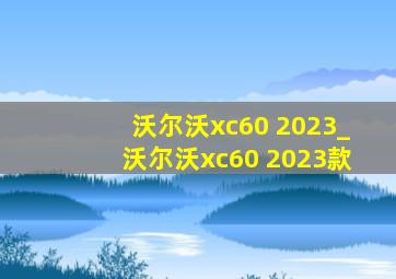 沃尔沃xc60 2023_沃尔沃xc60 2023款